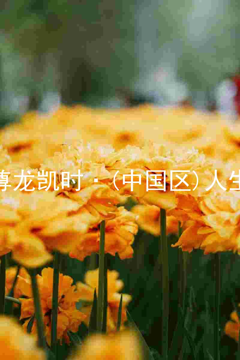 尊龙凯时·(中国区)人生